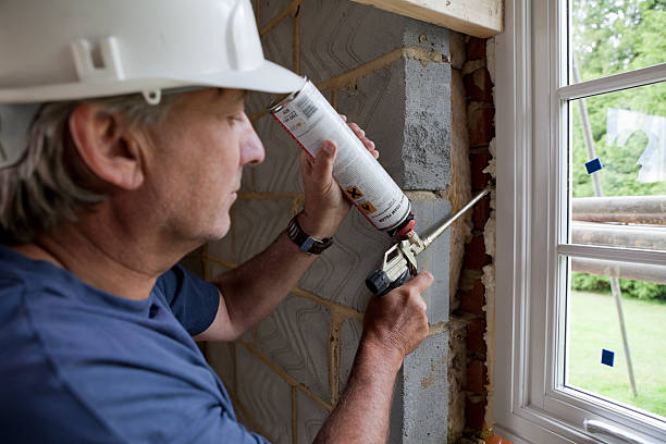 Best Insulation Maintenance and Repair in Lake Hallie, WI